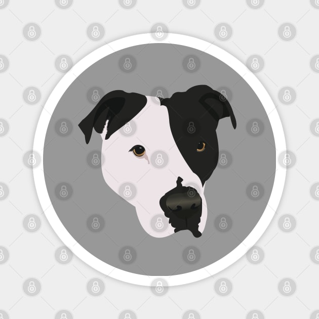 Black and White Pit Bull Magnet by KCPetPortraits